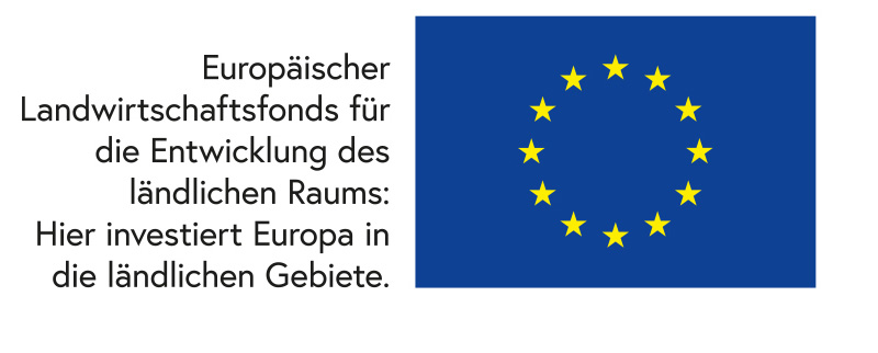 Logo EU